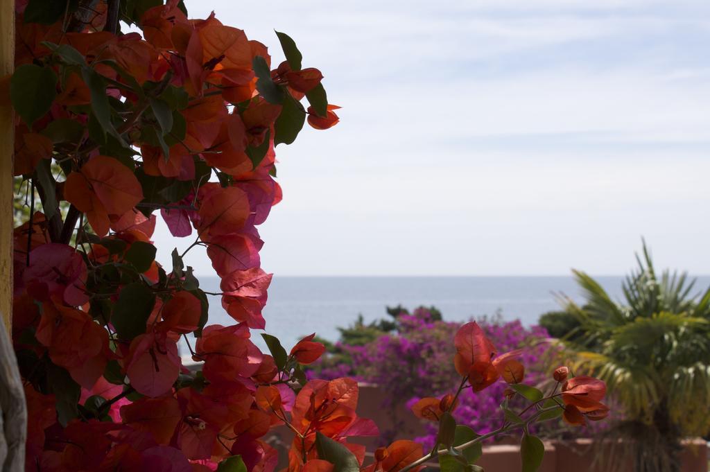 Les Bungalows De Figha Tarcu Buitenkant foto