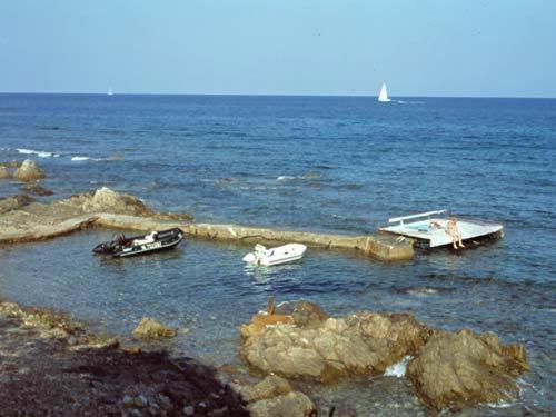 Les Bungalows De Figha Tarcu Buitenkant foto